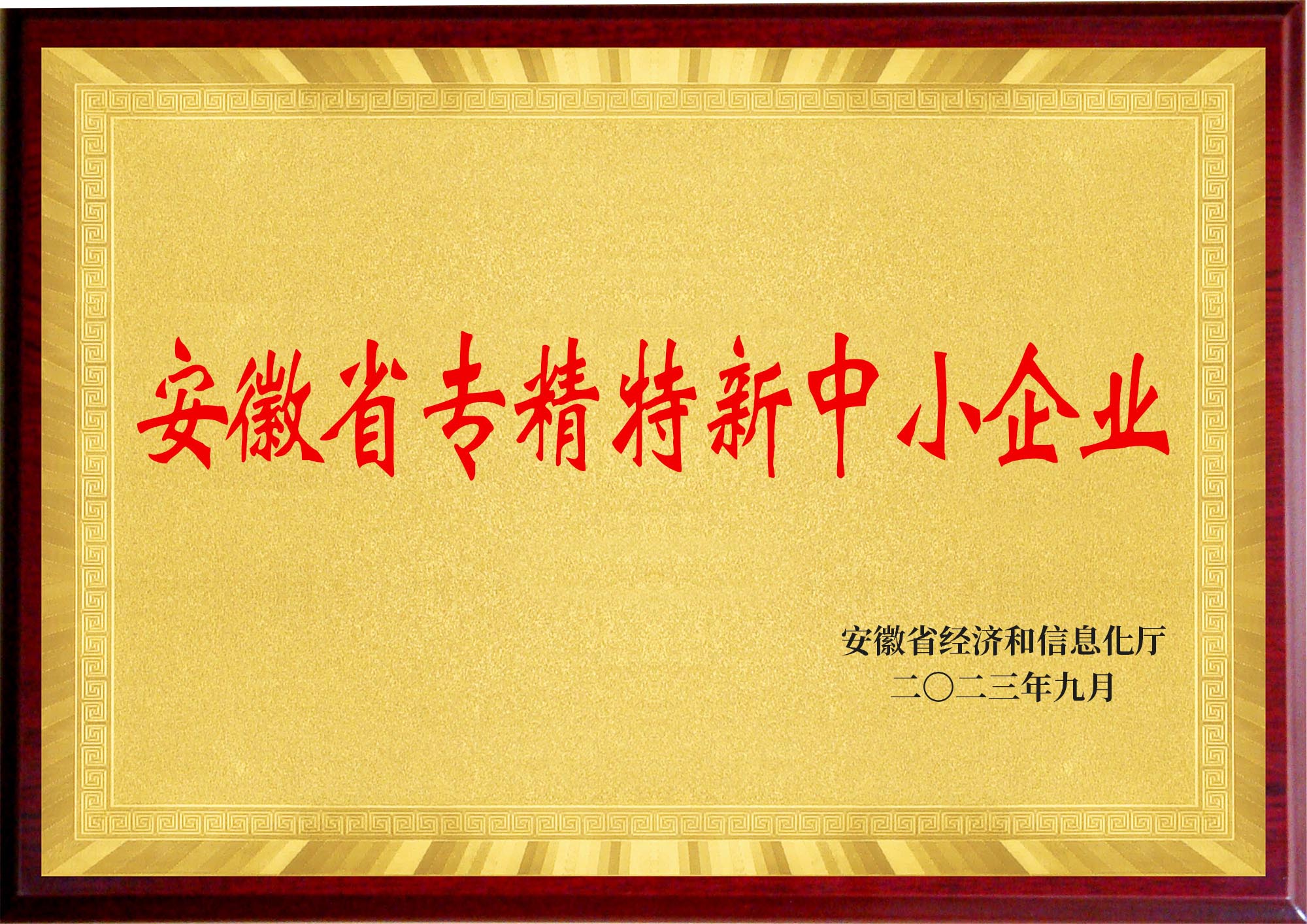 安徽省专精特新中小企业